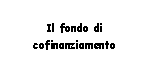 Text Box: Il fondo di cofinanziamento   
