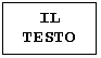 Text Box: IL
TESTO
